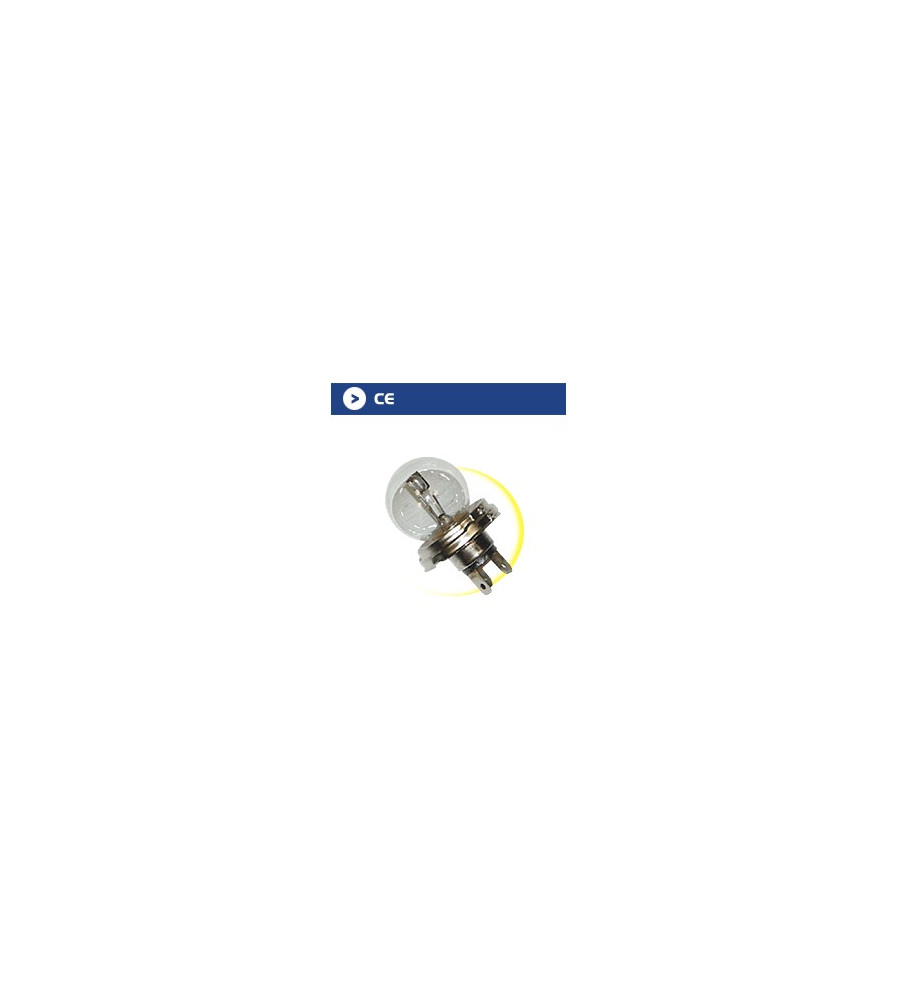 Ampoule CE blanche 24 V