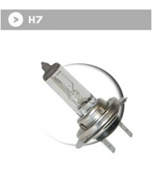 Ampoule H7 - 12 V - 55 W blanche